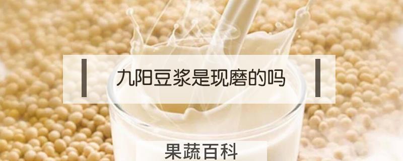 九阳豆浆是现磨的吗