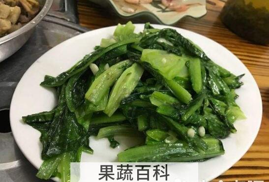 香麦菜的功效与作用 香麦菜的副作用