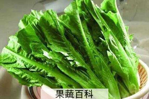 香麦菜怎么吃 香麦菜怎么炒