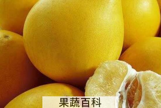 长期吃柚子的功效与作用