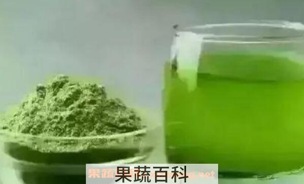 苜蓿酵素什么人不能喝 喝苜蓿酵素的危害