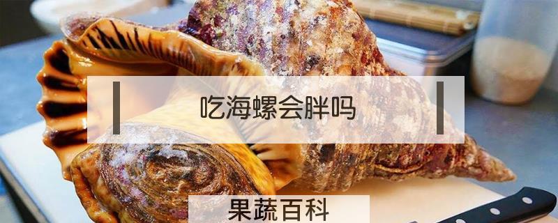 吃海螺会胖吗