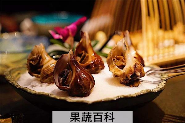 吃海螺会胖吗