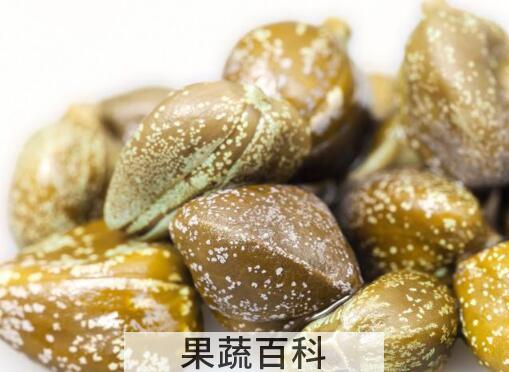 刺山柑的功效与作用