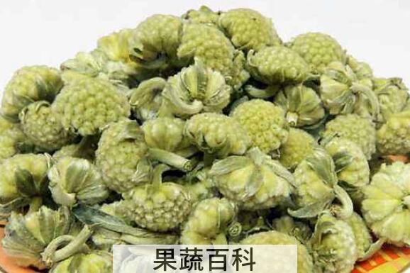 绿萝花泡水喝的副作用与禁忌