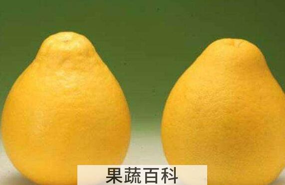 大柚子的功效与作用及禁忌