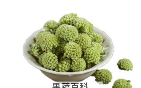 绿萝花茶的功效与作用 绿萝花茶哪些人不能喝