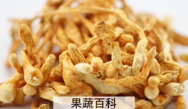 排骨炖虫草花汤怎么做