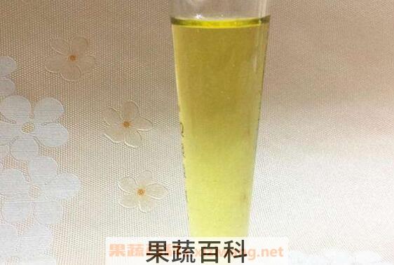  仙人掌籽油的功效与作用