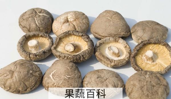 感冒鸡汤怎么炖