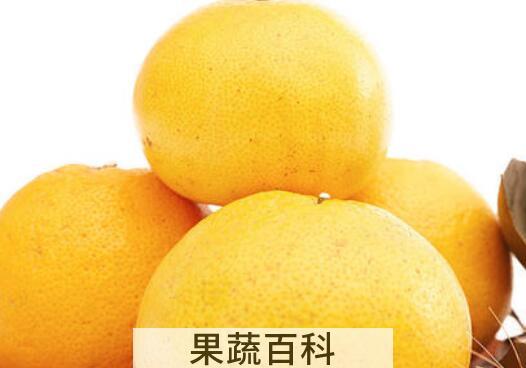 吃胡柚的功效与作用