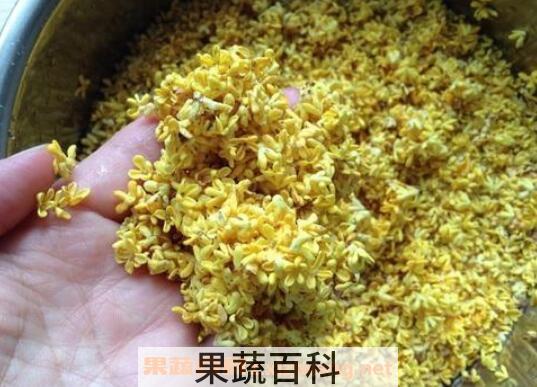 干桂花能直接吃吗 干桂花怎么吃最好