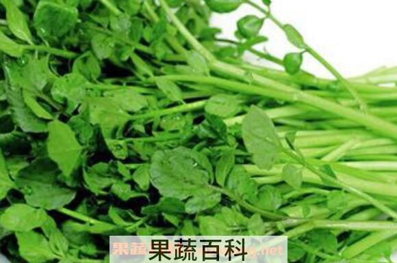 苜蓿酵素的功效与作用 苜蓿酵素的正确吃法