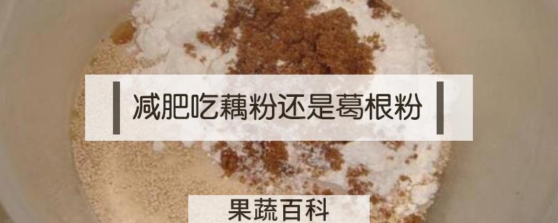 减肥吃藕粉还是葛根粉