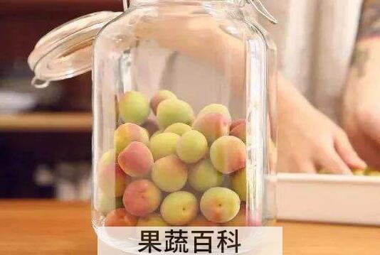 醋泡青梅如何保存 醋泡青梅可以存放多久