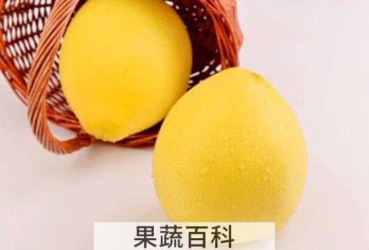 苦柚子的功效与禁忌