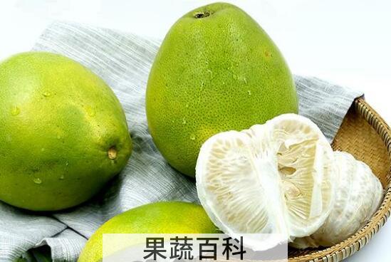 苦柚子的功效与禁忌