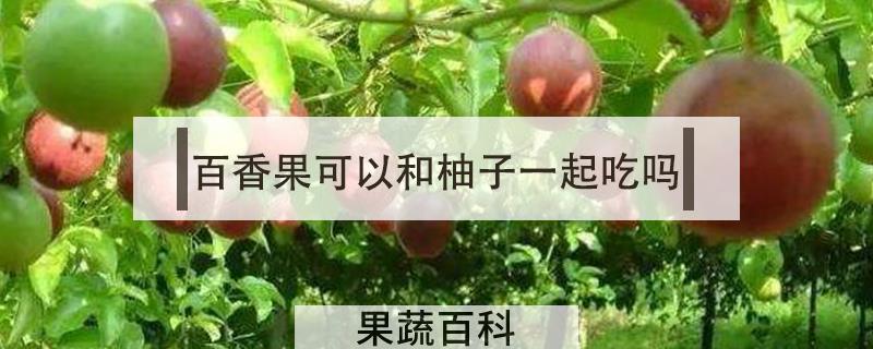 百香果可以和柚子一起吃吗