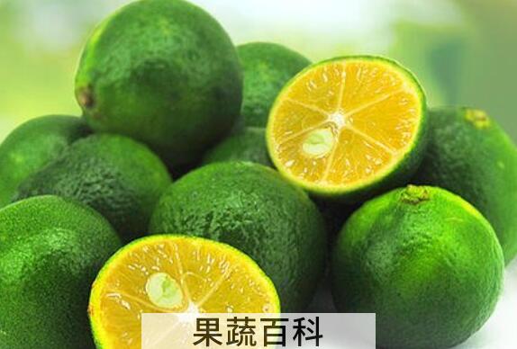 青桔的功效与作用禁忌