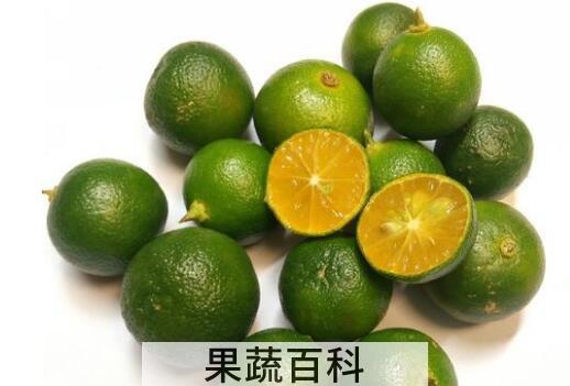 青桔的功效与作用禁忌