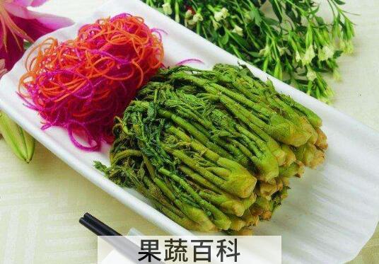 刺老芽怎么吃 刺老芽的食用方法