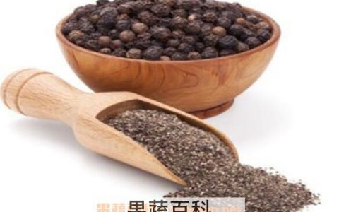 黑胡椒精油有什么功效 黑胡椒精油的用途