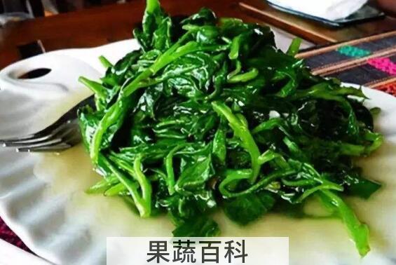 革命菜的功效与作用及禁忌