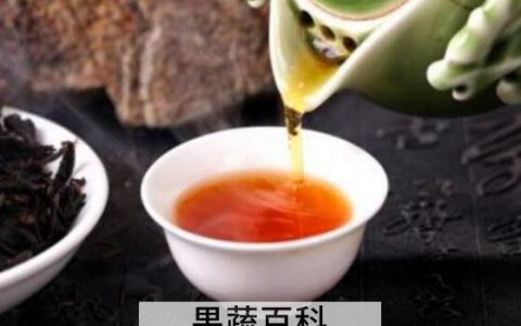 煮茶和泡茶有什么益处和害处