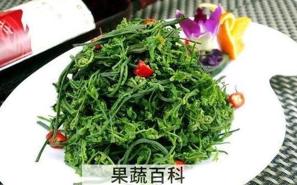 云龙菜的功效与作用 吃云龙菜的好处