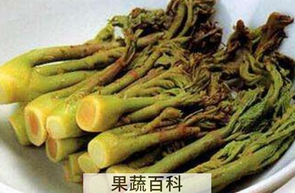 刺老芽的功效与作用