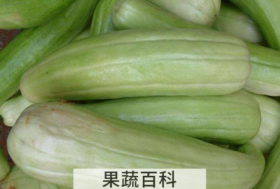 越瓜的功效与作用 越瓜怎么吃