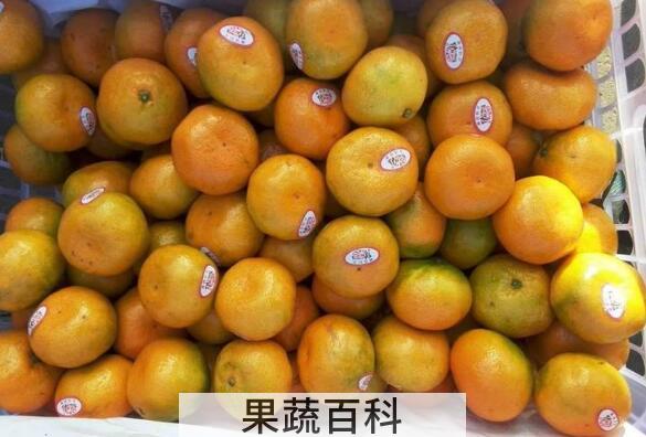 叶桔的营养价值和功效