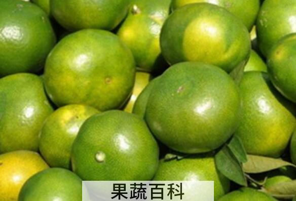 青皮桔子的功效与作用