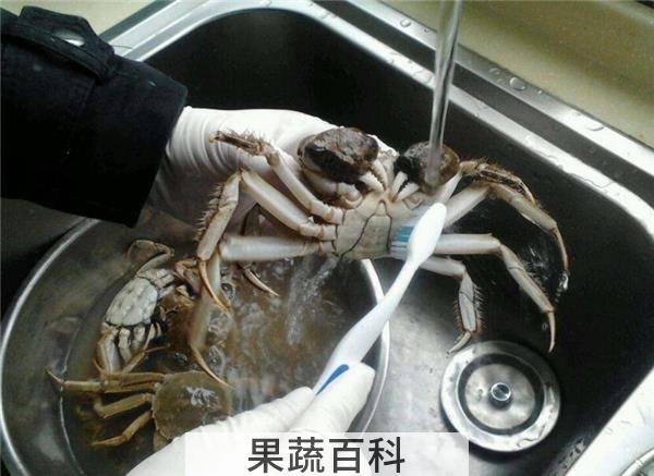 大闸蟹如何清洗，大闸蟹清洗前用酒泡出内渍