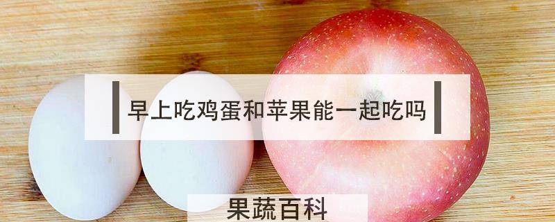 早上吃鸡蛋和苹果能一起吃吗