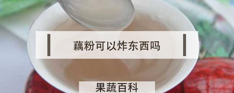 藕粉可以炸东西吗
