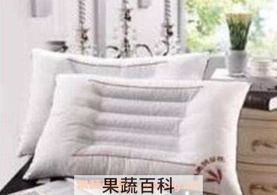 荞麦枕头的功效与作用 荞麦枕头不适合什么人