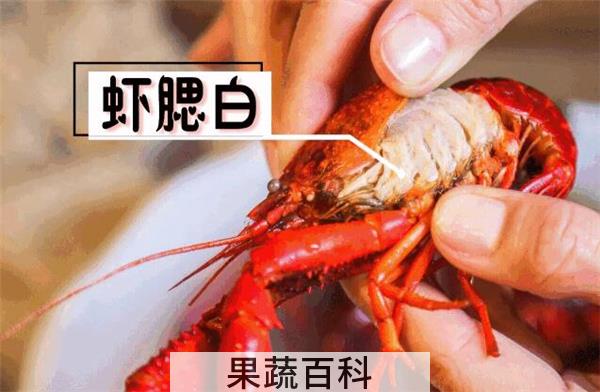 洗虾粉洗过龙虾能活吗，洗过的龙虾都表示奄奄一息生无可恋