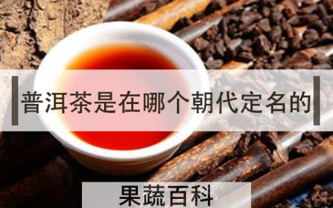 普洱茶是在哪个朝代定名的