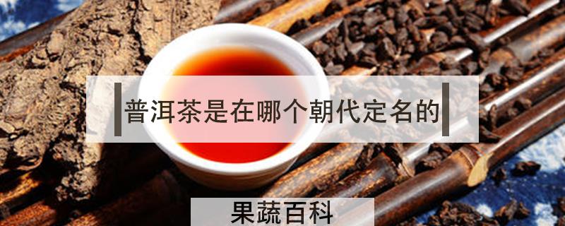 普洱茶是在哪个朝代定名的