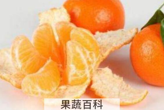 新鲜橘子皮的功效与作用