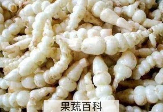 地溜子的功效和作用