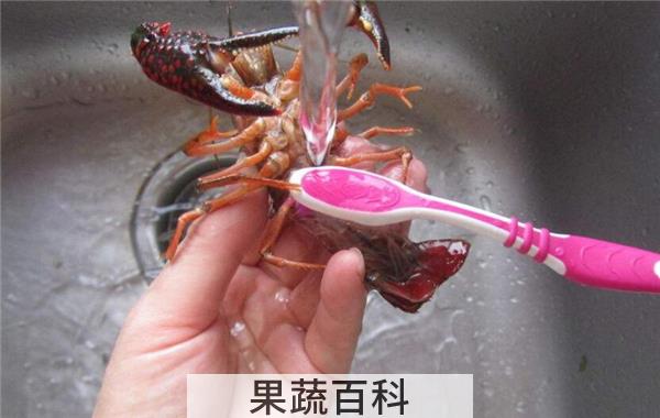 小龙虾怎么清理最干净，冲洗二至三遍用牙刷洗刷腹部