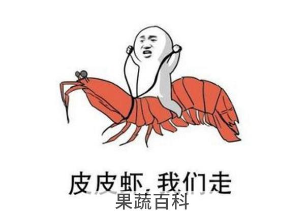 皮皮虾是不是虾，皮皮虾虽是网红但不是虾