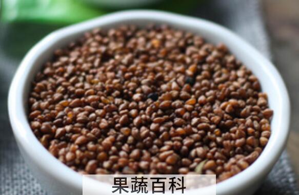 黑苦荞茶的功效与作用 黑苦荞茶的食用方法