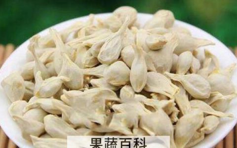 桔子籽煮水喝的功效与作用