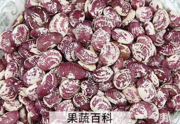 肾豆的功效与作用及禁忌