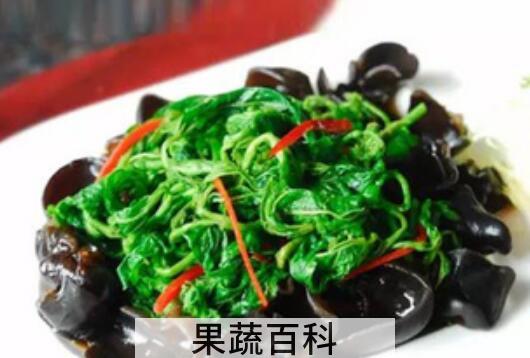 桑芽菜怎么煮 桑芽菜的做法大全