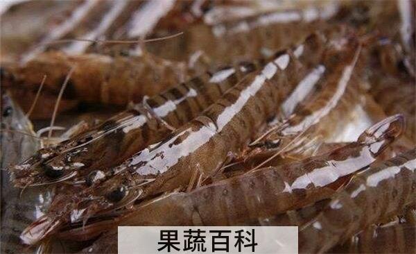 基围虾是海虾还是河虾，基围虾是养殖的海虾