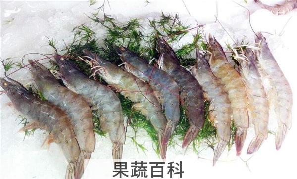 对虾和基围虾的区别，看表皮分辨对虾与基围虾